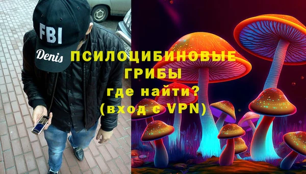 дурь Богородск