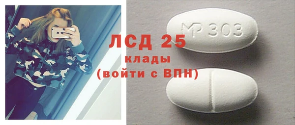 PSILOCYBIN Богданович