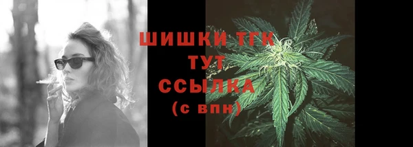 PSILOCYBIN Богданович