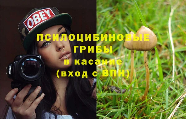 дурь Богородск