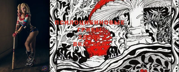 PSILOCYBIN Богданович