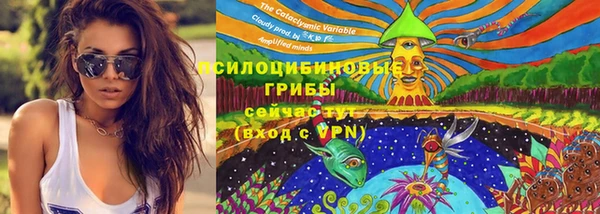ешки Богородицк