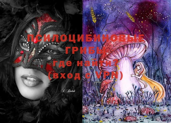 ешки Богородицк