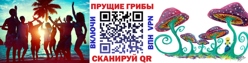 цены наркотик  Добрянка  Псилоцибиновые грибы Magic Shrooms 